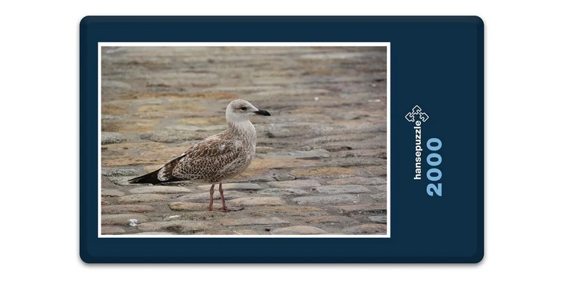 16981 Reisen - Urlaubs-Flieger Puzzle