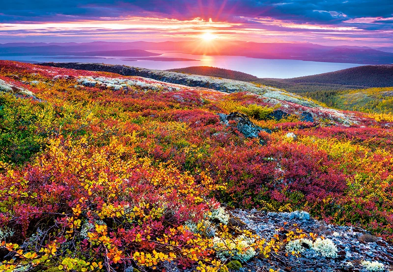Northern Palette