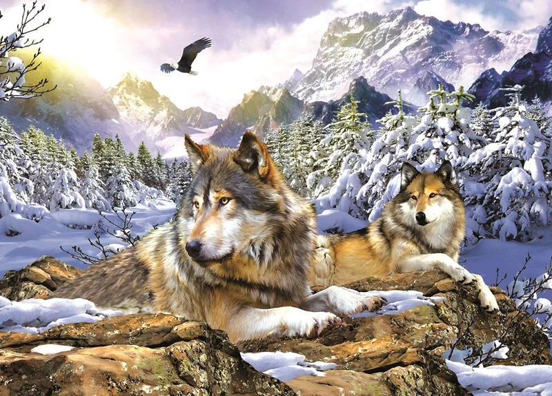 Snow Wolf, Jonathan Robinson