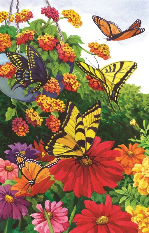 A Garden of Butterflies, Nancy Wernerbach