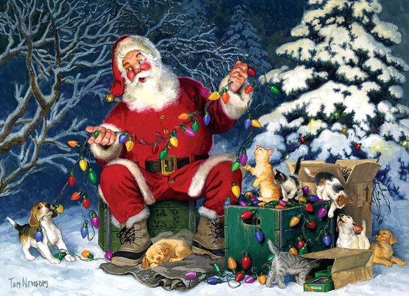 Santa's Little Helper, Tom Newson