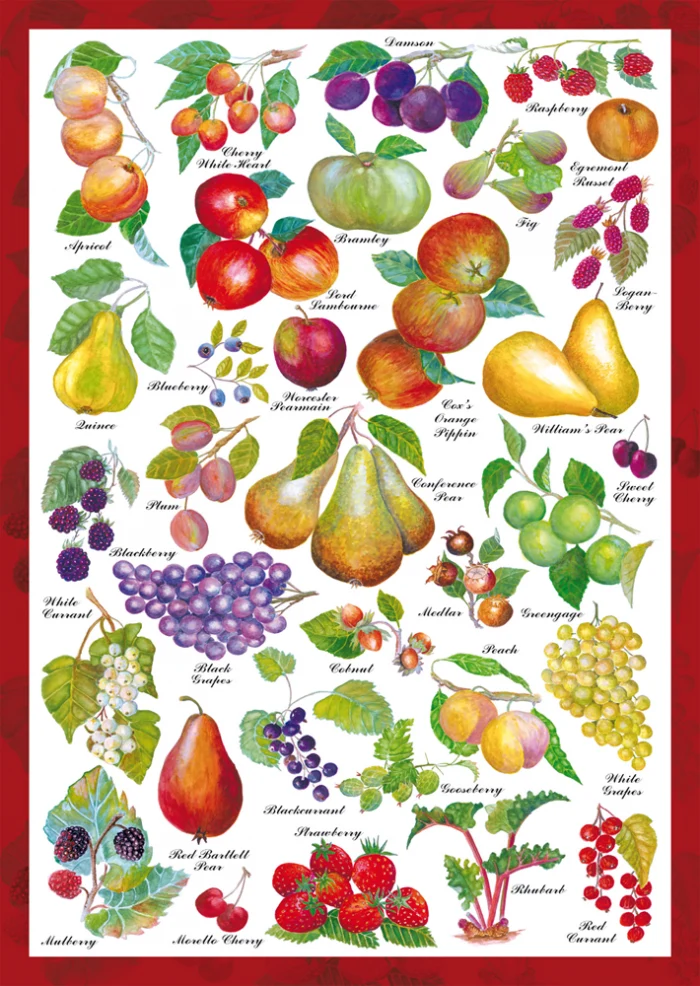 Fruits