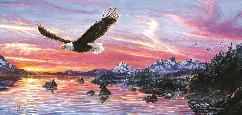 Silent Wings of Freedom, Jeff Tift