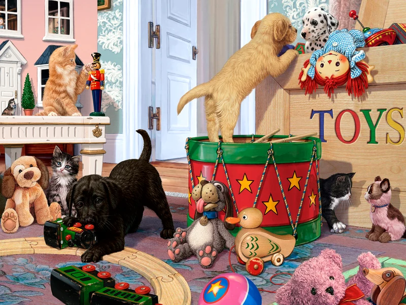 Playtime, Steve Read