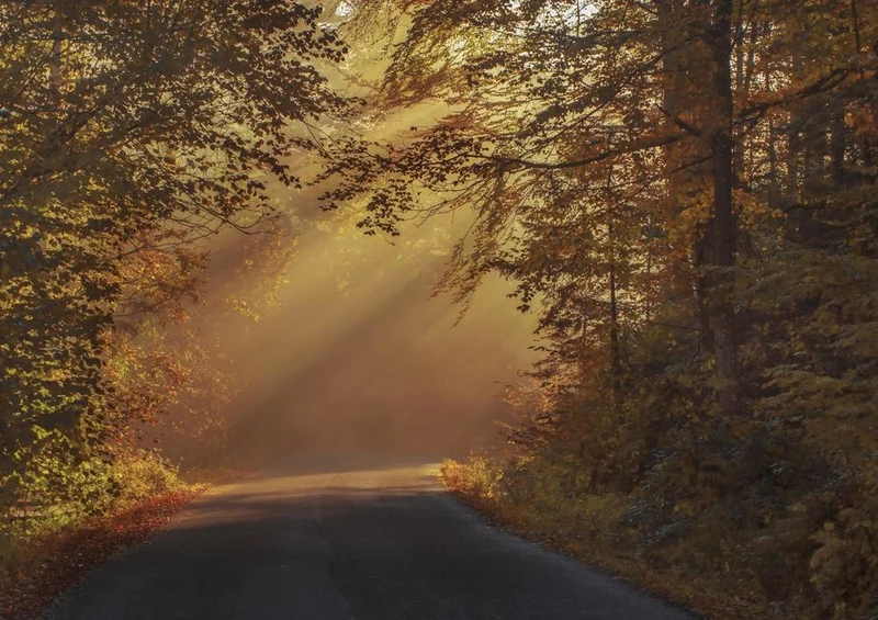 26195 Natur - Sonnenaufgang Puzzle