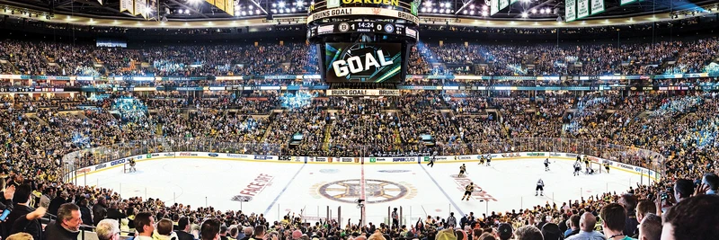 Boston Bruins (Panoramic)