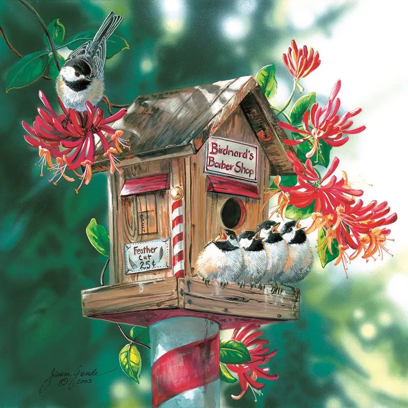 Bird - Nard's Barbershop, Janene Grende
