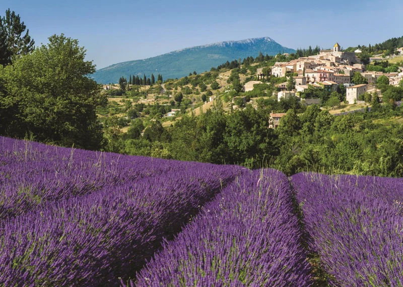 Provence, Aurel