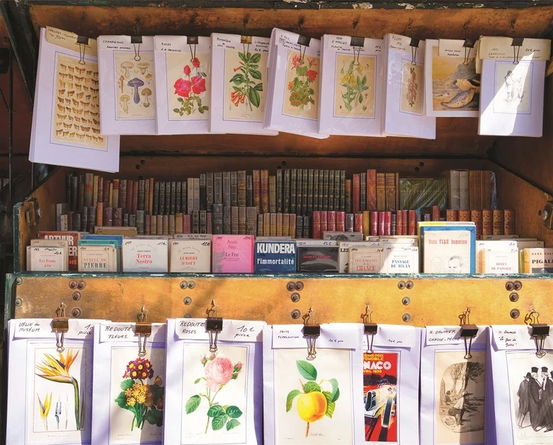 Parisian Library