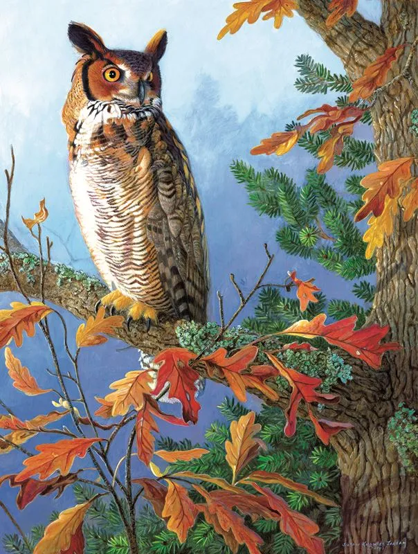 Silent Observer, Susan K. Jordan