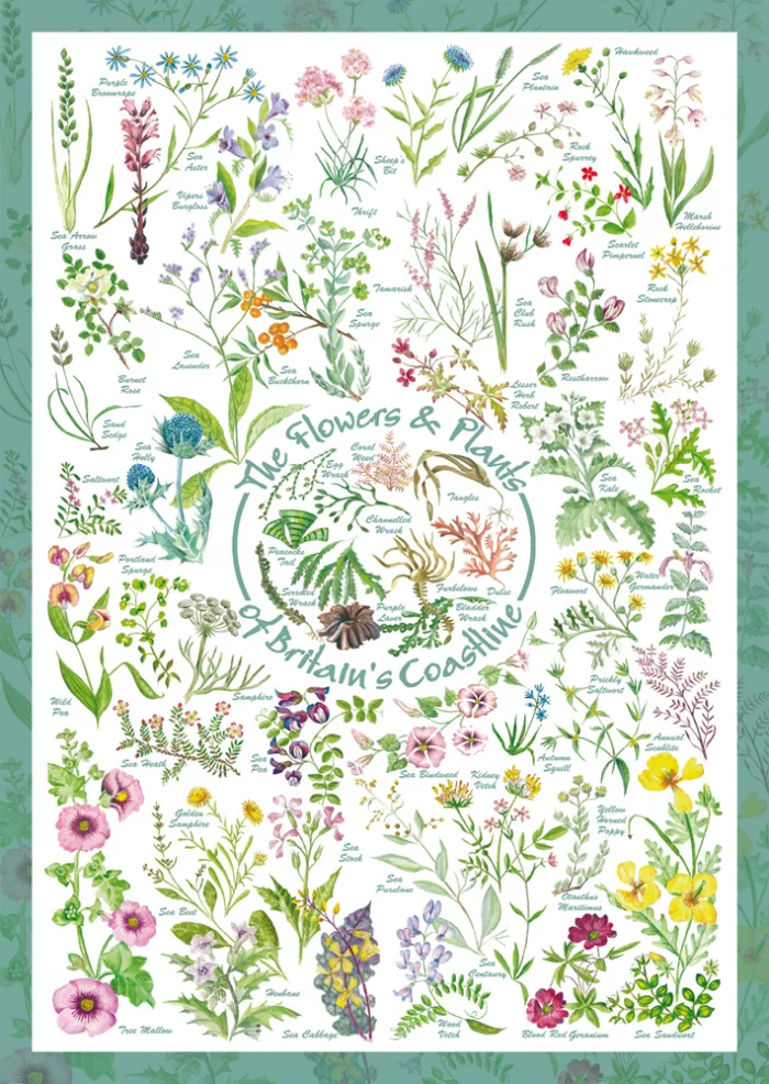 Flowers & Plants