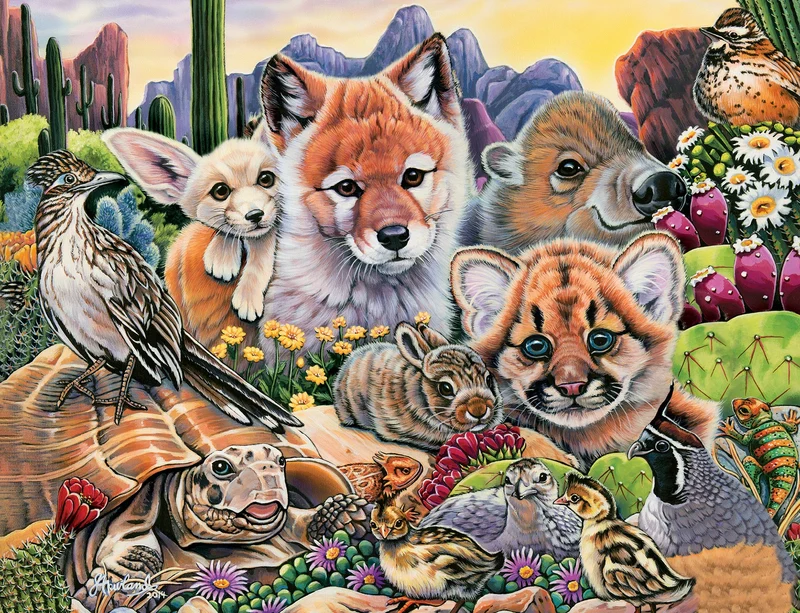 Desert Friends - Animal Planet