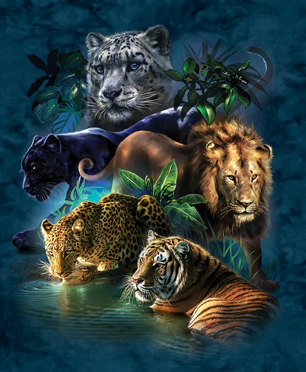 Big Cat Prowess, Tami Alba