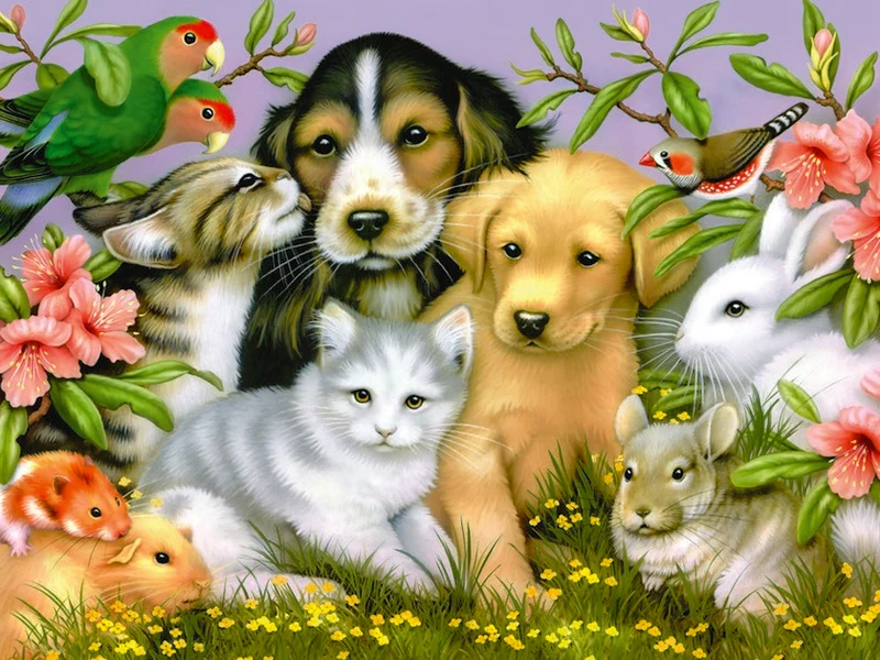 Loveable Pets, Howard Robinson