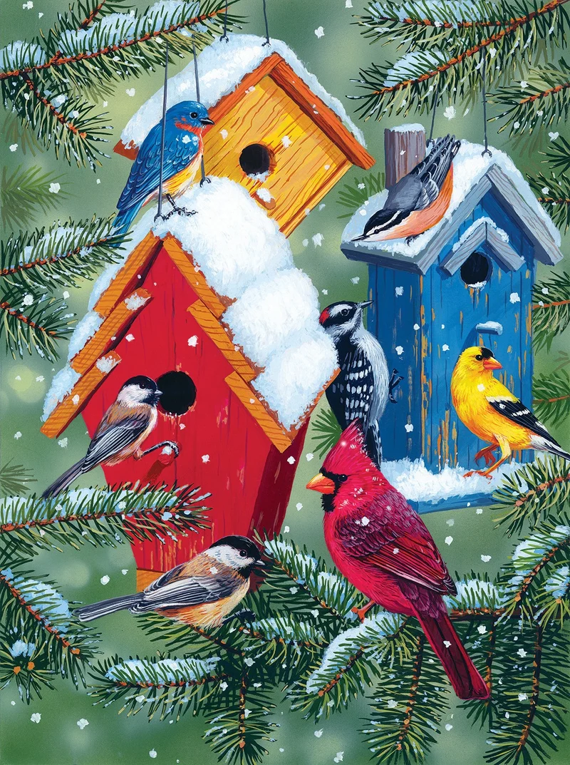 Winter Birdhouse, William Vanderdasson
