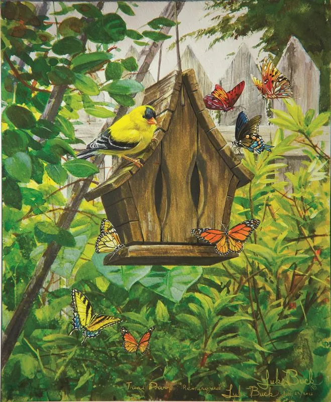 Butterfly B & B, Luke Buck
