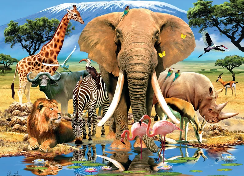 Animal Planet Safari Adventure (Aventure safari)
