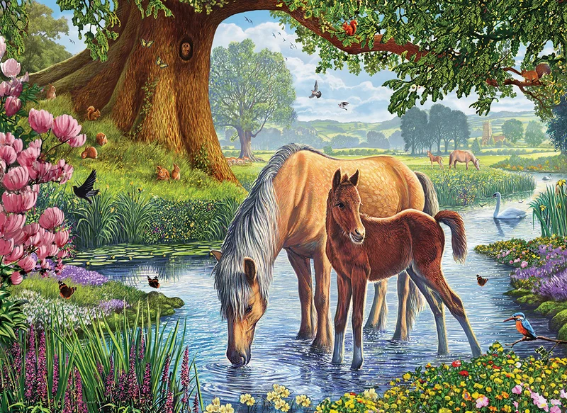 The Fell Ponies, Les Poneys Fells, Steve Crisp