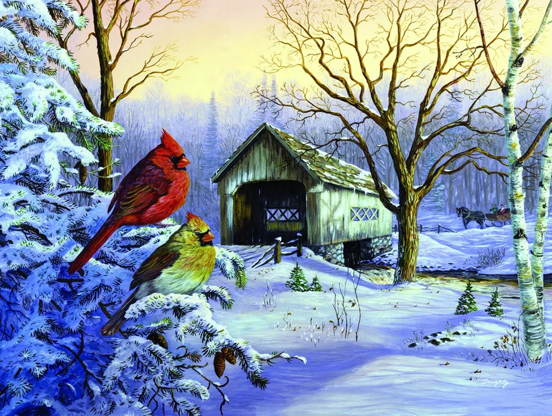 Snowy Haven, Terry Doughty