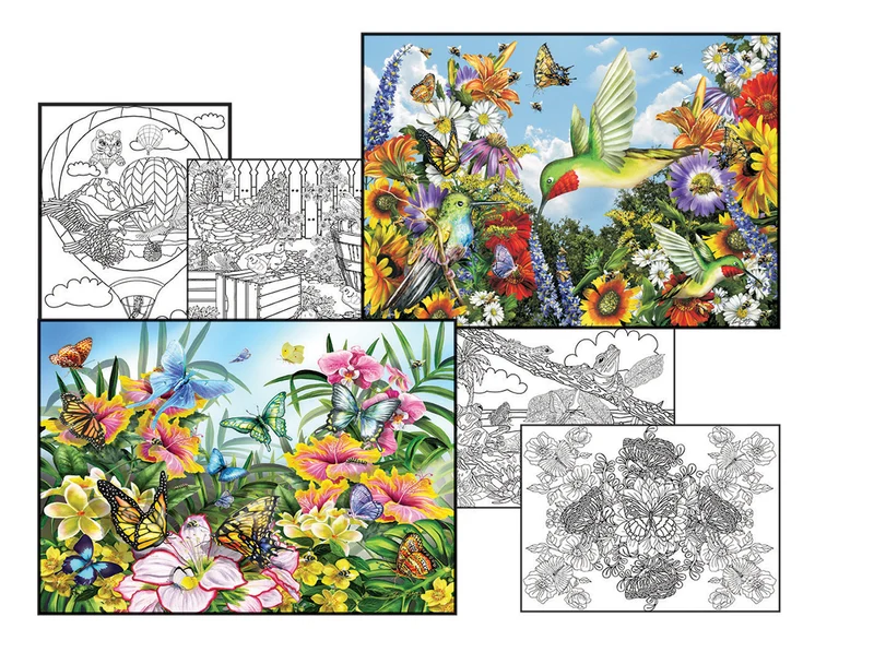 Butterflies in the Garden + Birds and Bees, Lori Schory (2 Puzzles + 4 Coloring Pages)