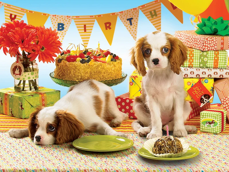 Every Dog Has Its Day