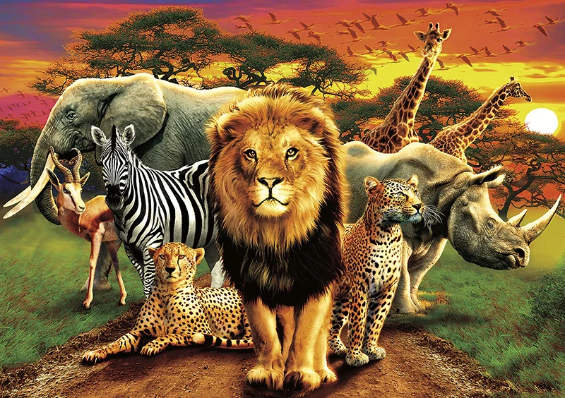 African Beasts, Andrew Farley