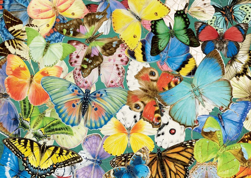 Ravensburger Butterflies, Jane Shasky