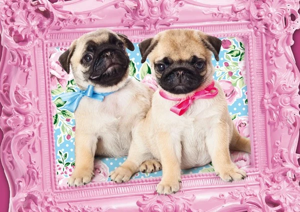 Pug and Puglet