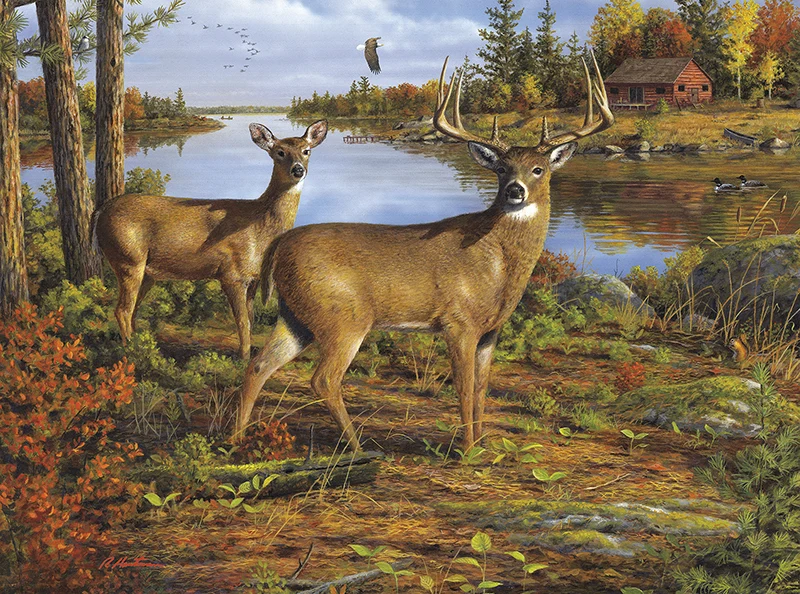 Hidden Bay, Hautman Brothers