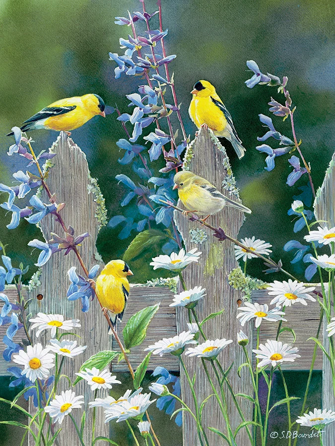 Goldfinch Quartet