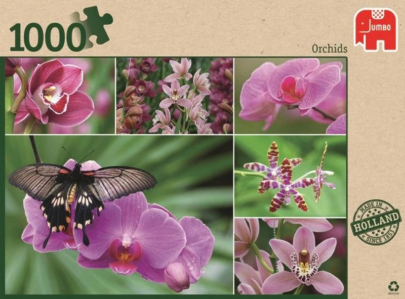 Orchids