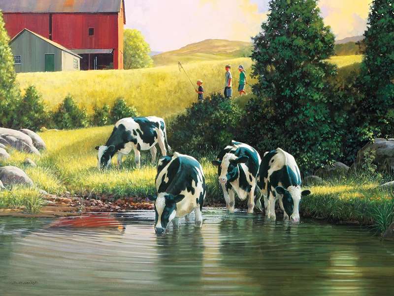 Holsteins, Douglas Laird