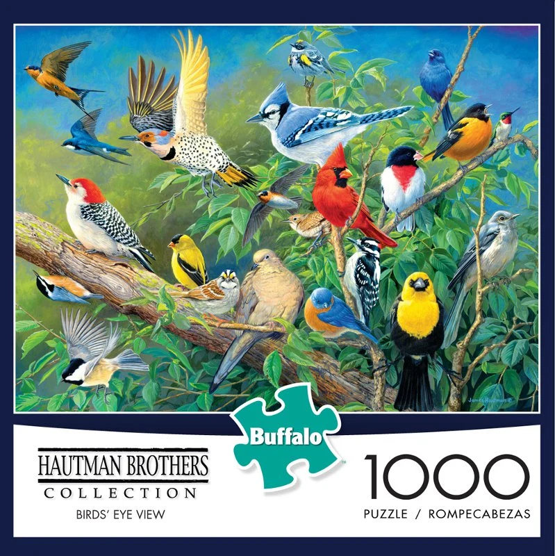 Hautman Brothers: Bird's Eye View