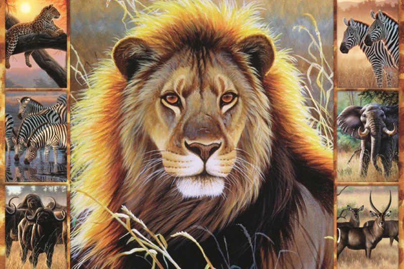 African Beauty, Cynthie Fisher