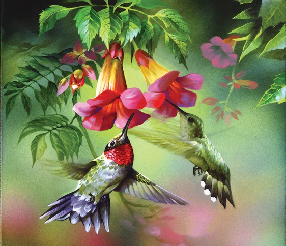 Hummingbirds, Spencer Williams