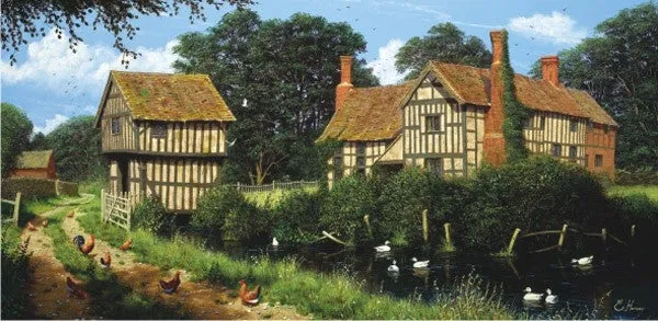 Chicken In Lane, Edward Hersey