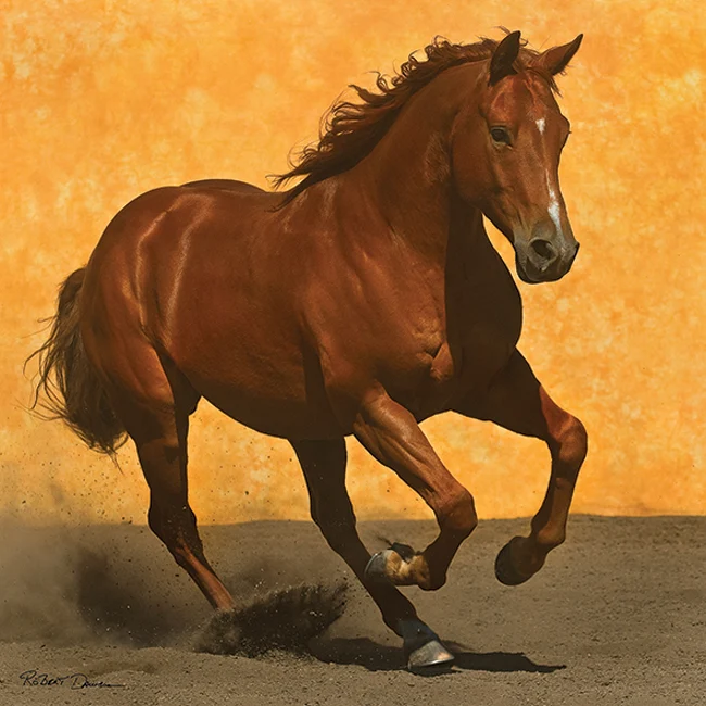 Adobe Run III, Robert Dawson