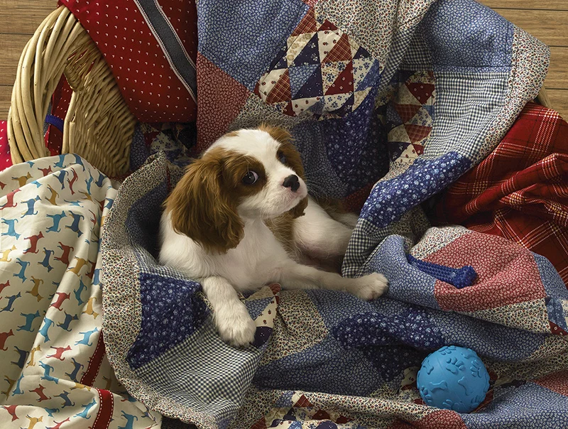 Laundry Day