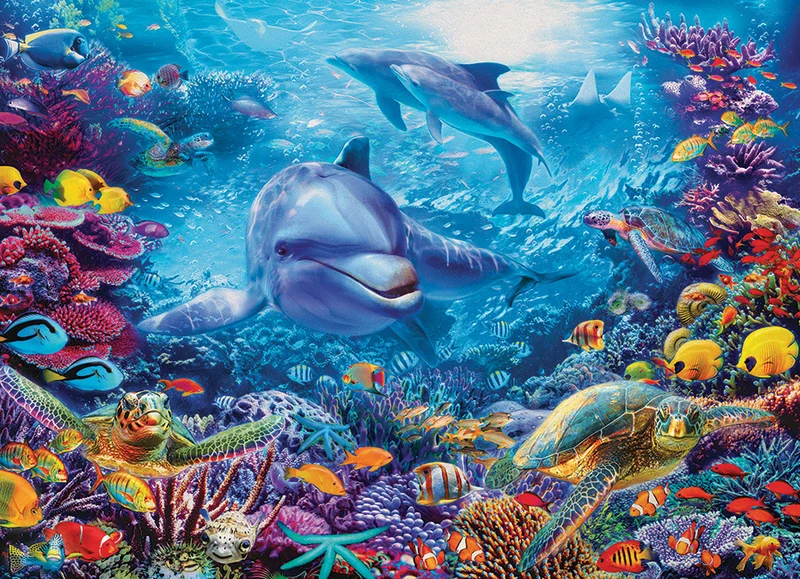 Dolphins at Play, Jan Patrik Krasny