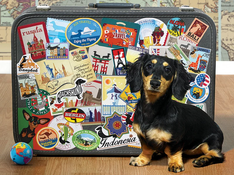 Dachshund 'Round the World