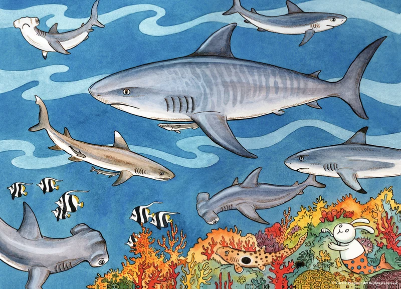 Ravensburger Sea of Sharks, Carrie Wagner