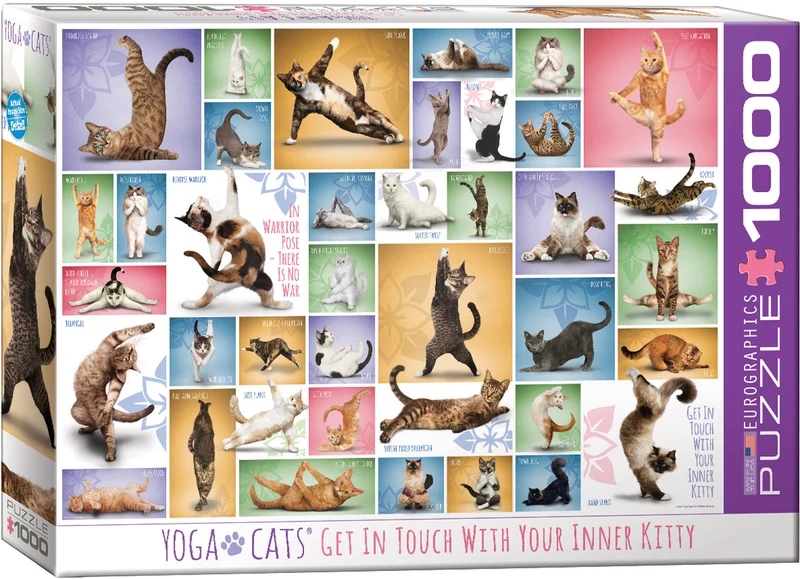 Yoga Cats, Get in Touch With Your Inner Kitty
