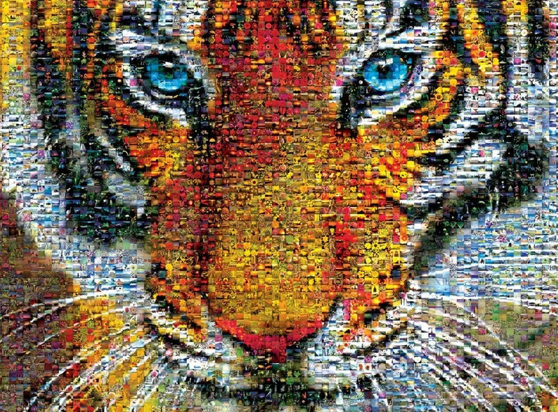 Tiger - Photomosaic
