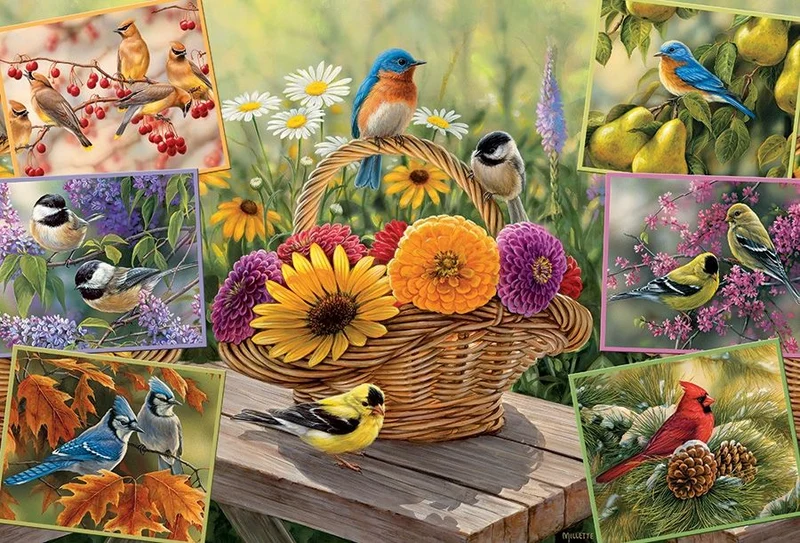 Rosemary's Birds, Rosemary Millette