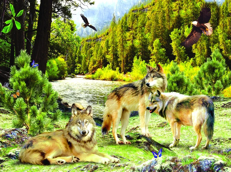 Wolf Creek, Jonathan Robinson