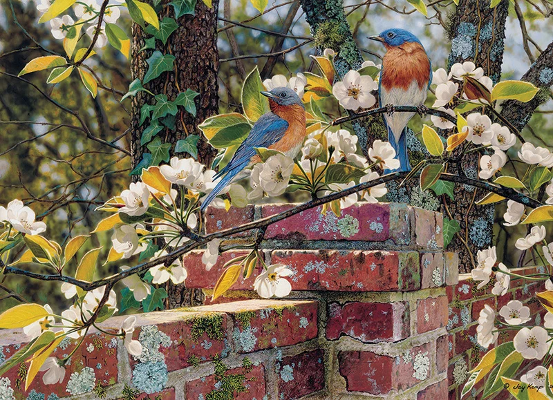 Backyard Blues, Jay Kemp