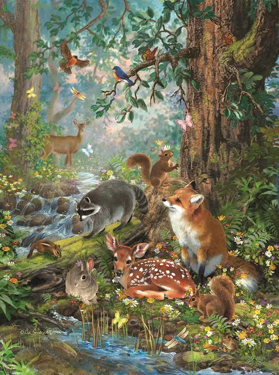 Out in the Forest, Liz Goodrick Dillon