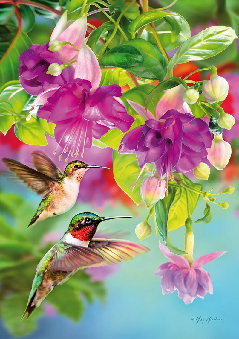 Hummingbirds, Greg Giordano