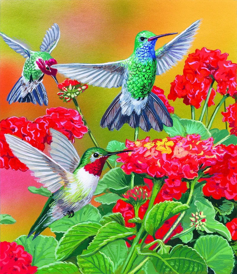 Hummingbirds and Flowers, William Vanderdasson