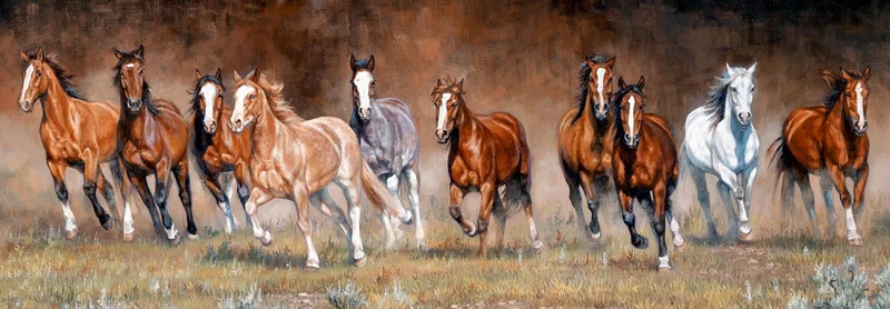 Free Time, Kim Penner (Panoramic)